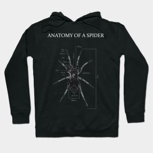 Spider Anatomy Diagram Hoodie